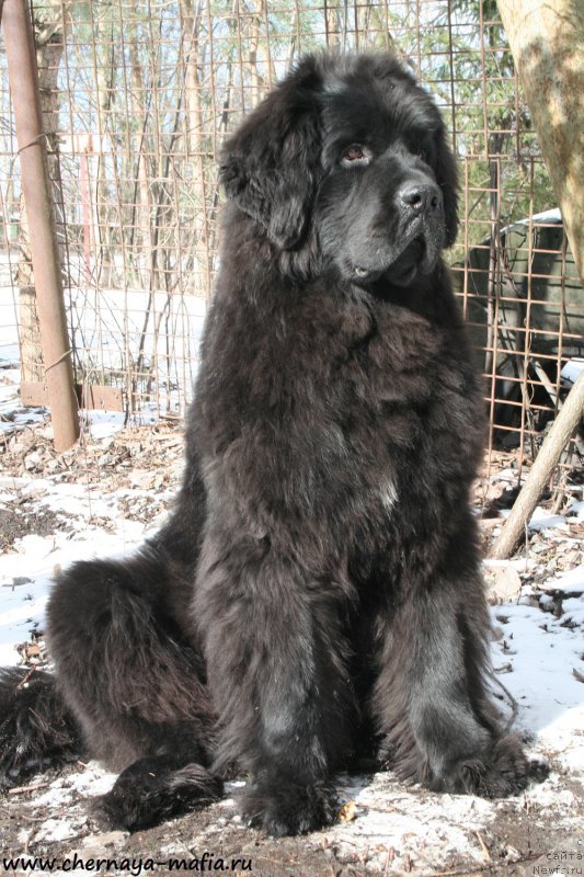 Фотография № 177643