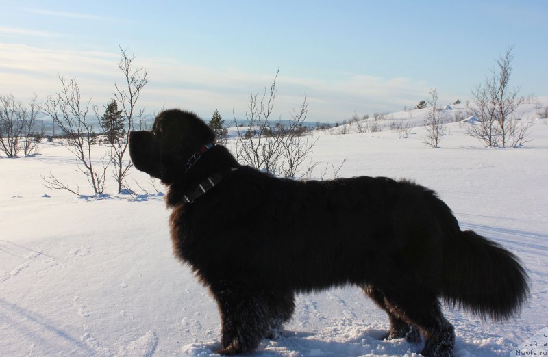 Фотография № 177653