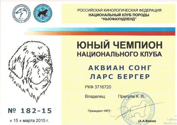 Фотография № 177668