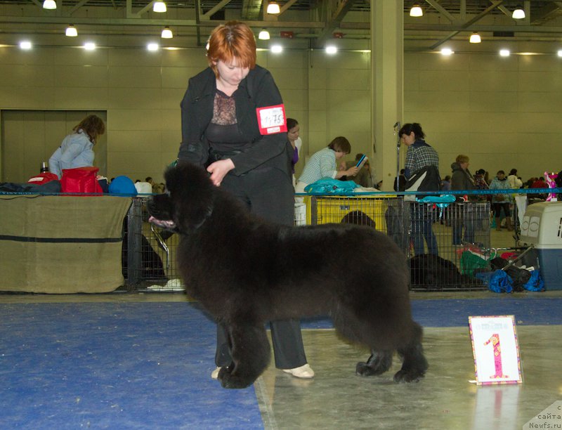 Фотография № 177682