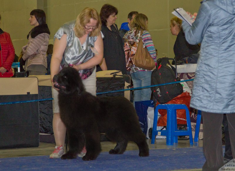 Фотография № 177684