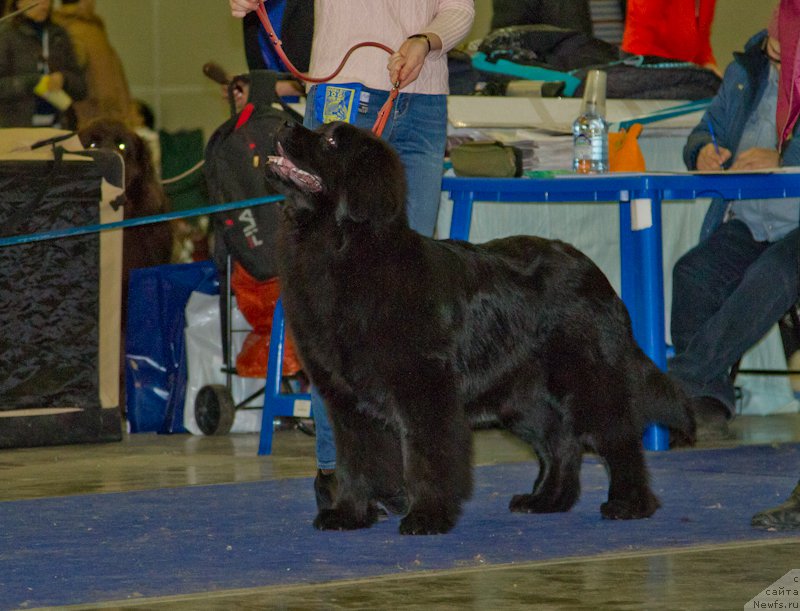 Фотография № 177688