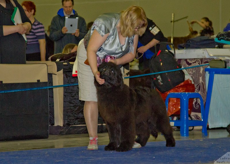 Фотография № 177689