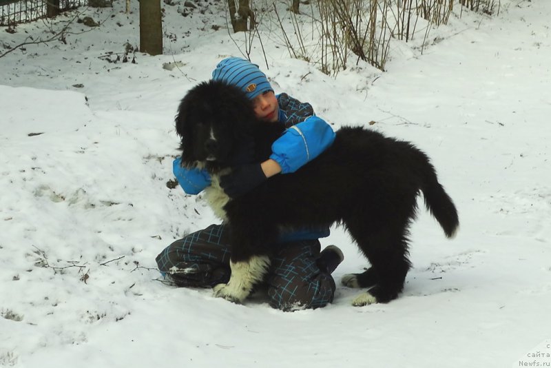 Фотография № 177692