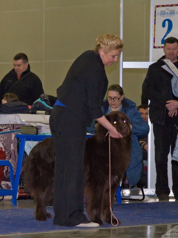 Фотография № 177702