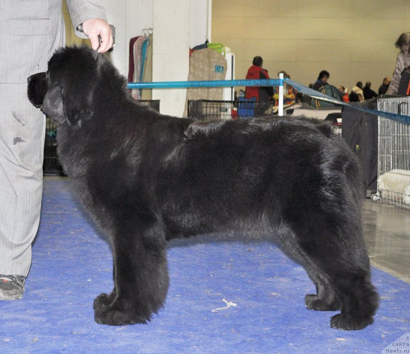 Фотография № 177707