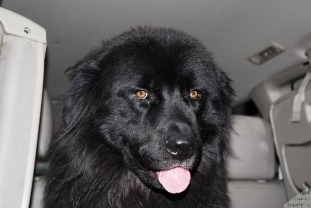 Фото: Гектор1