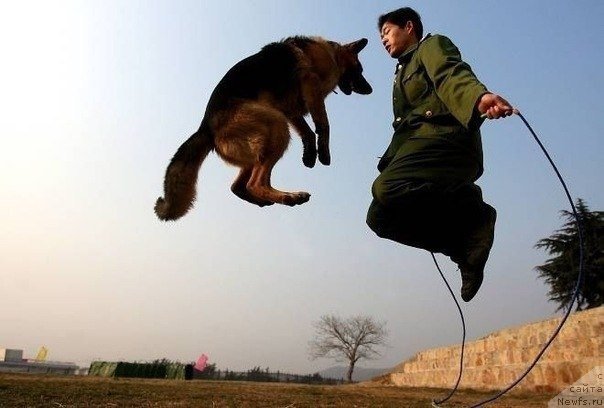 Фото: Sergey Jukov (Сергей Жуков)