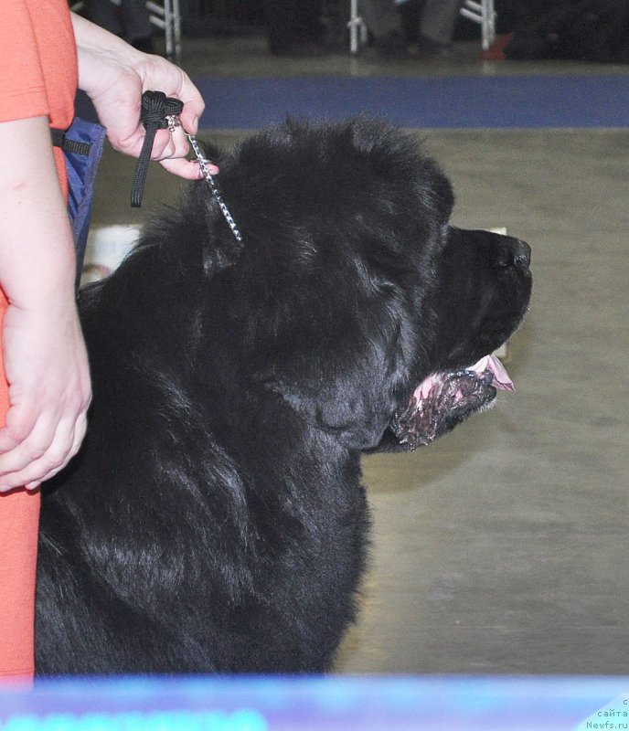 Фотография № 177726