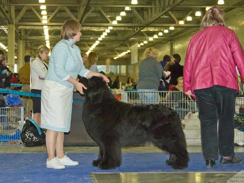 Фотография № 177730