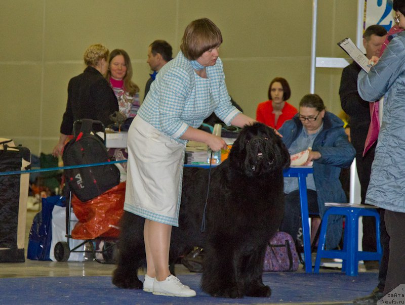 Фотография № 177731