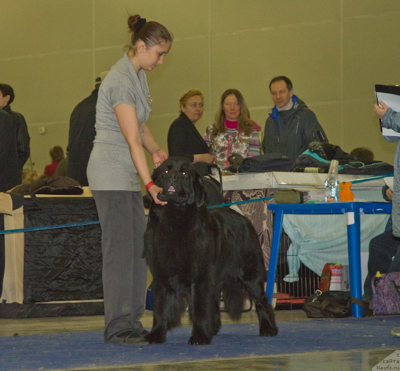 Фотография № 177733