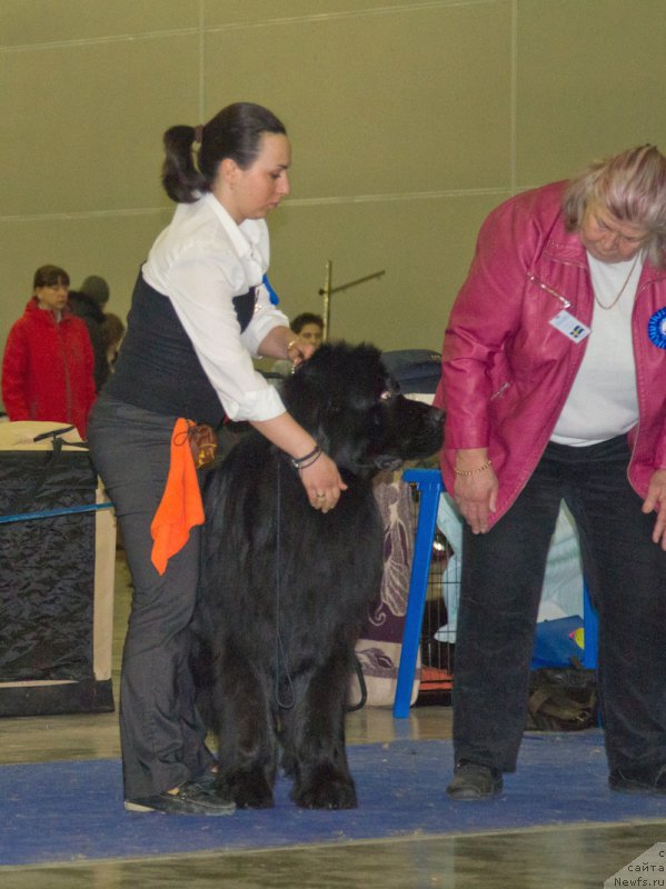 Фотография № 177735