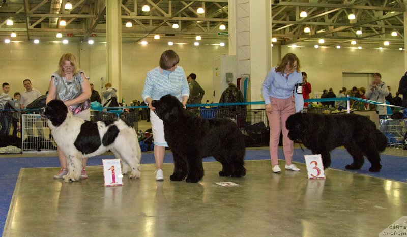 Фотография № 177737