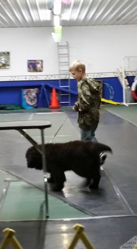 Фотография № 177741