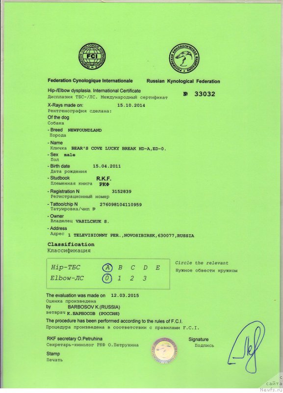 Фотография № 177743