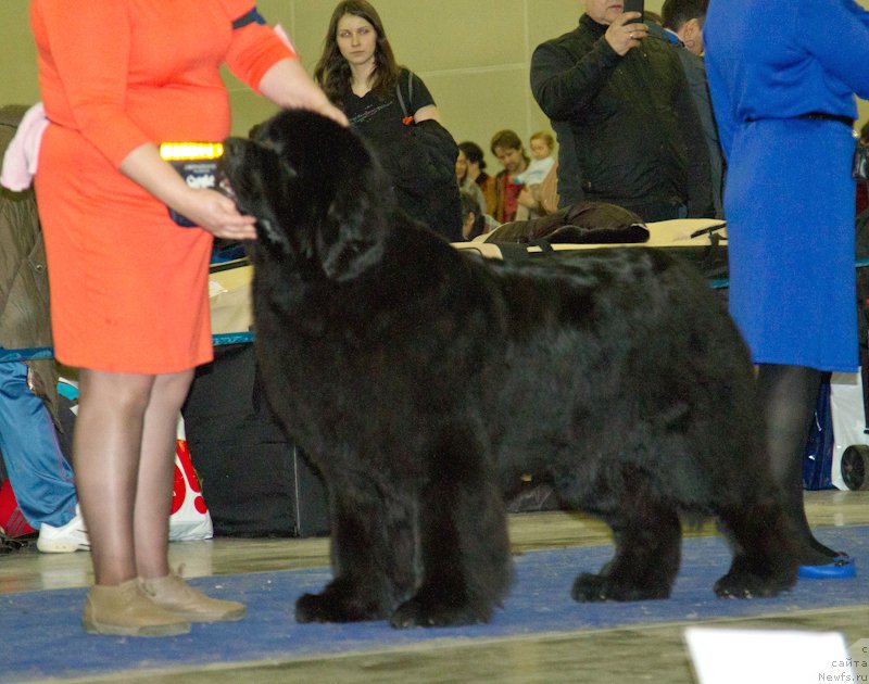 Фотография № 177758