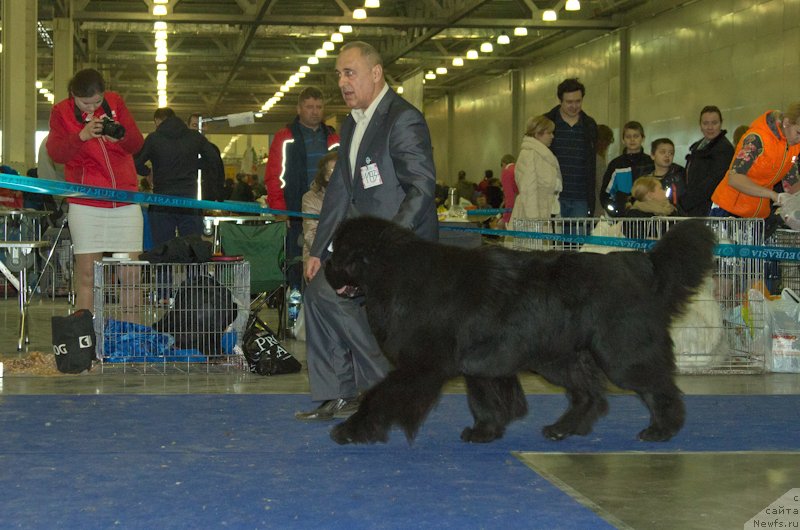 Фотография № 177762