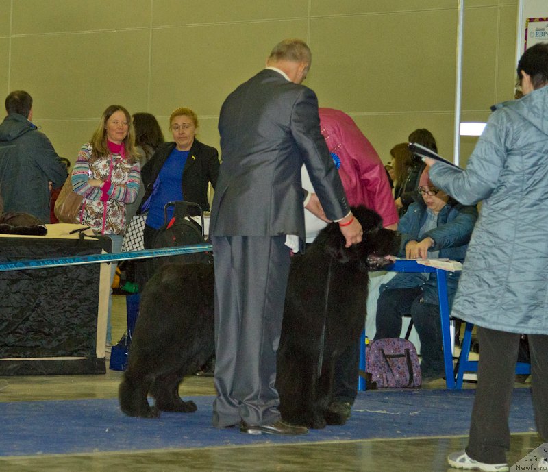 Фотография № 177763