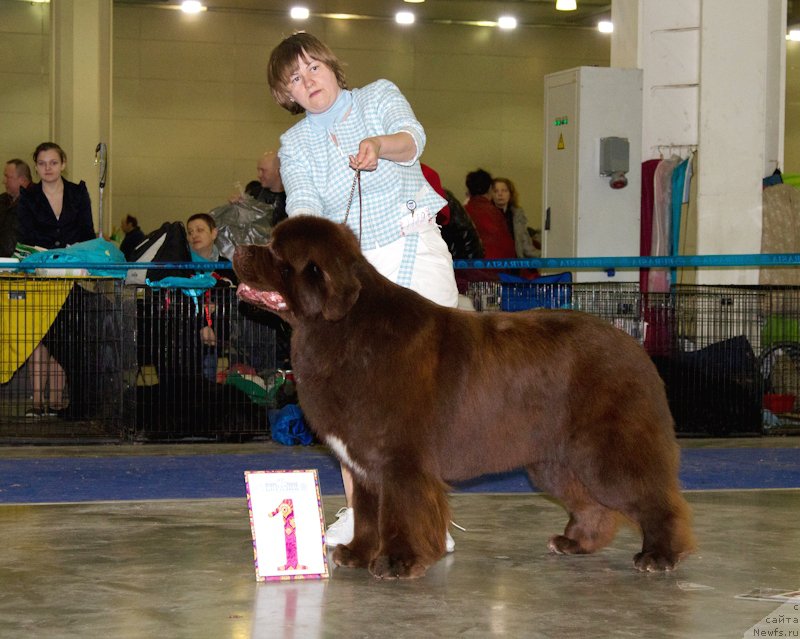 Фотография № 177766