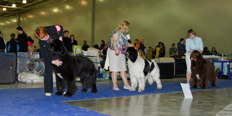 Фотография № 177774