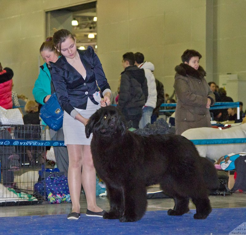 Фотография № 177779