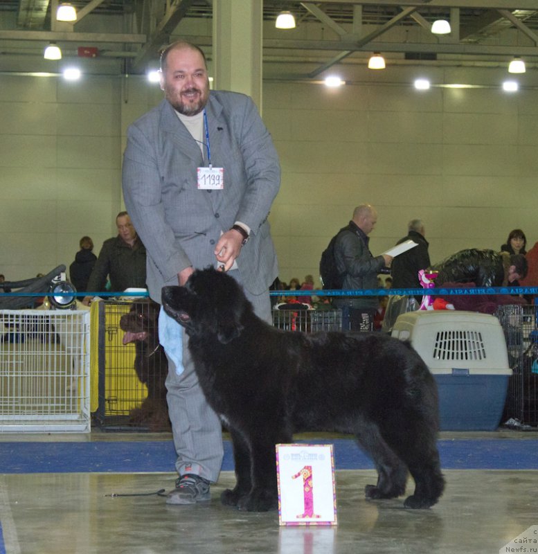 Фотография № 177782