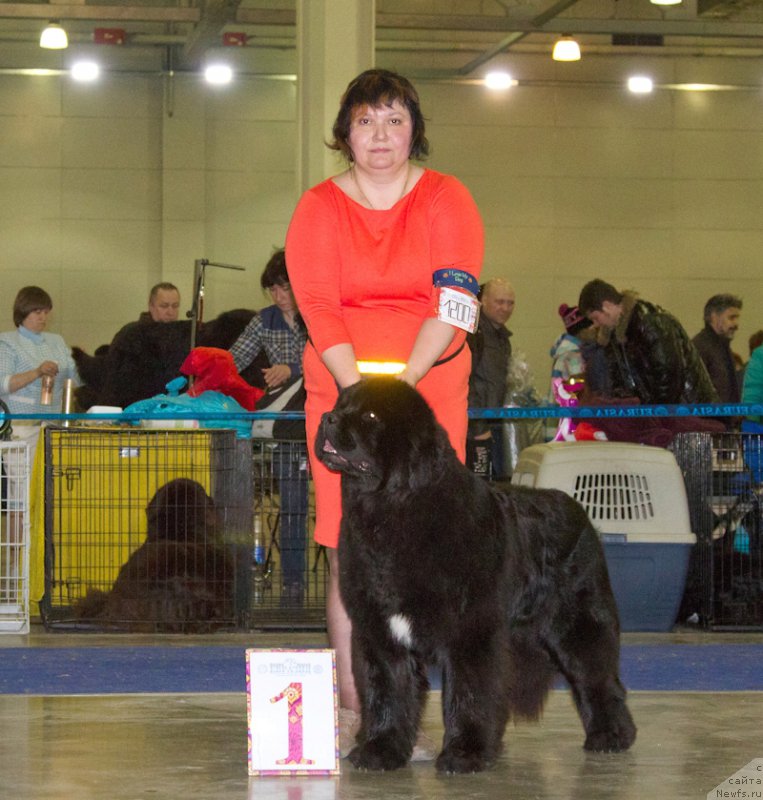 Фотография № 177790