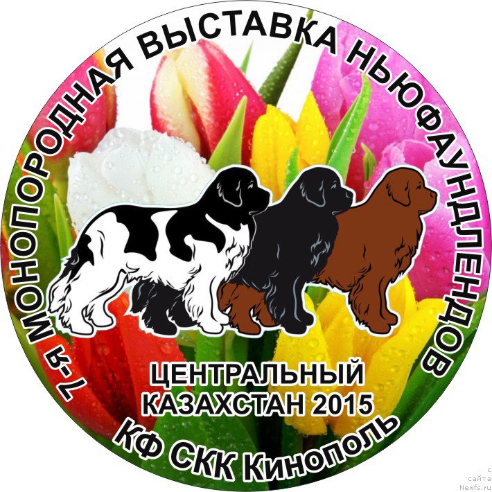 Фотография № 177804