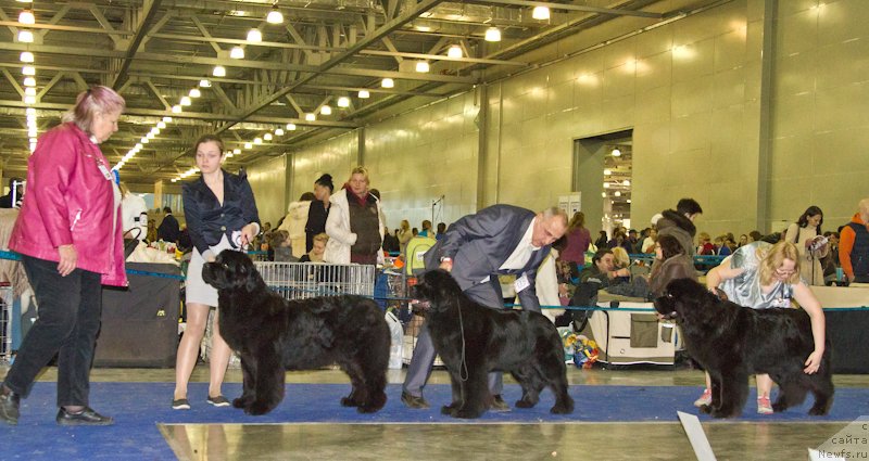 Фотография № 177819