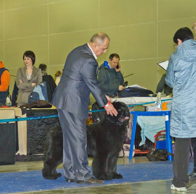 Фотография № 177824