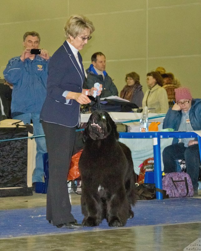 Фотография № 177827