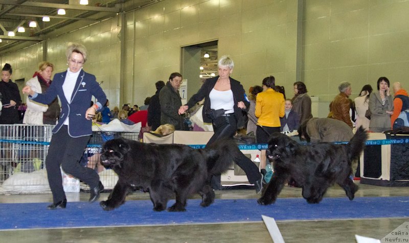 Фотография № 177830