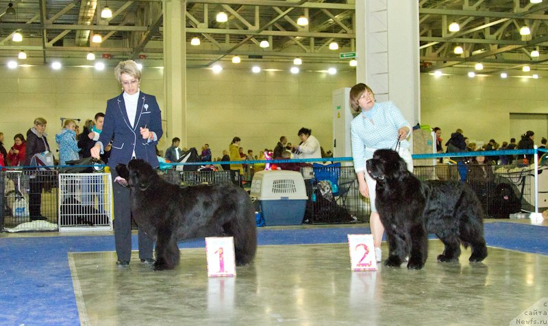 Фотография № 177832