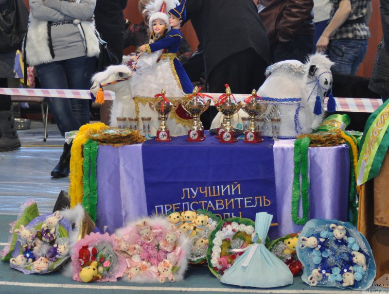 Фотография № 177833