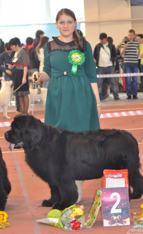 Фотография № 177837