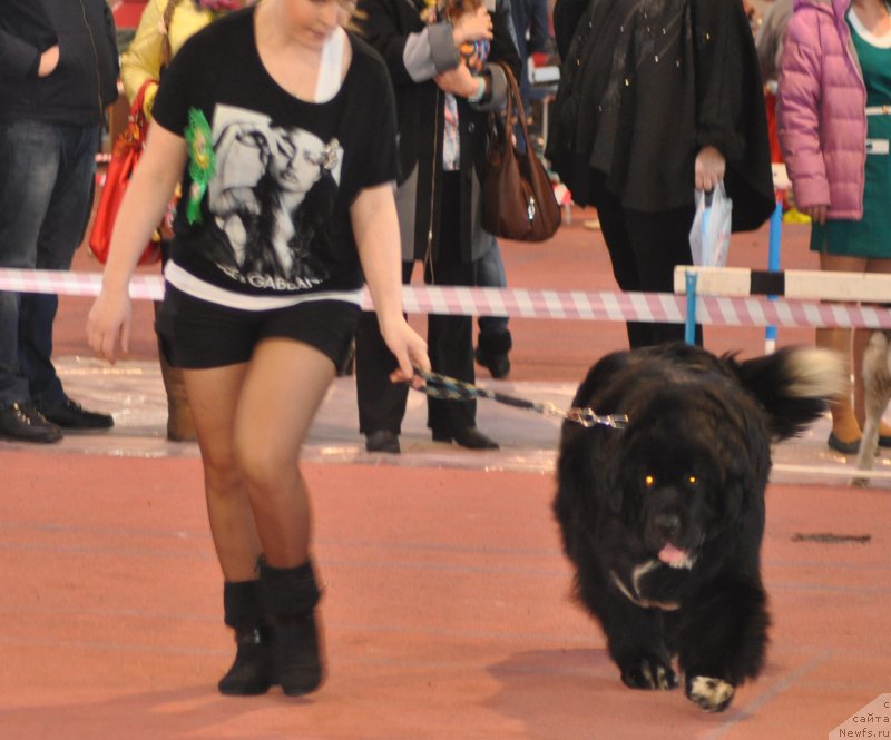 Фотография № 177838