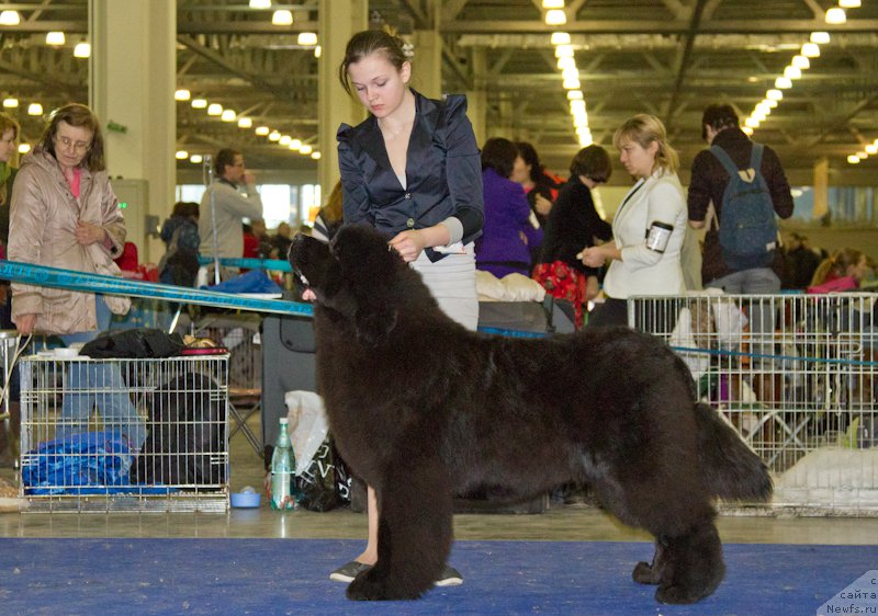 Фотография № 177849