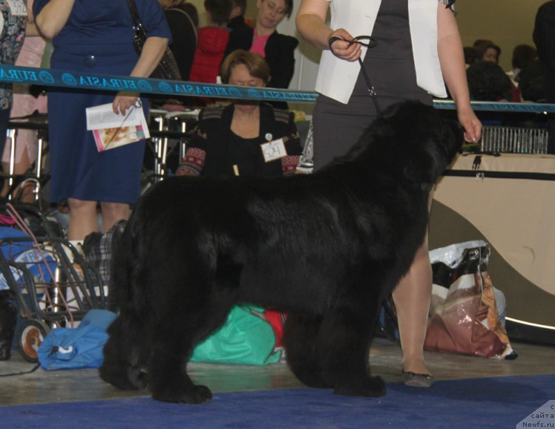 Фотография № 177852