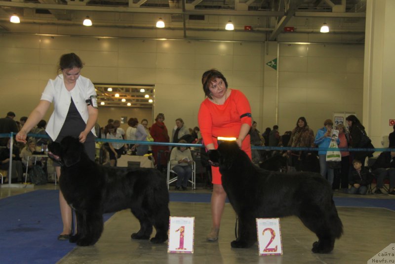 Фотография № 177855