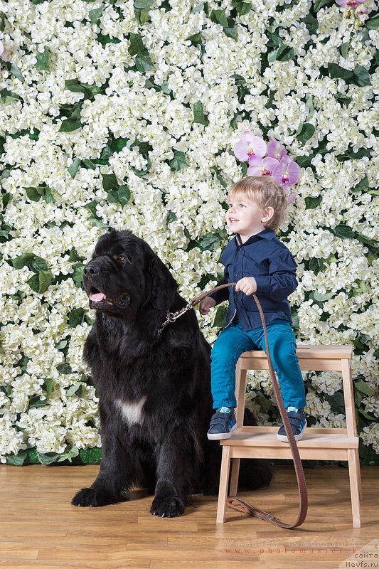 Фотография № 177859