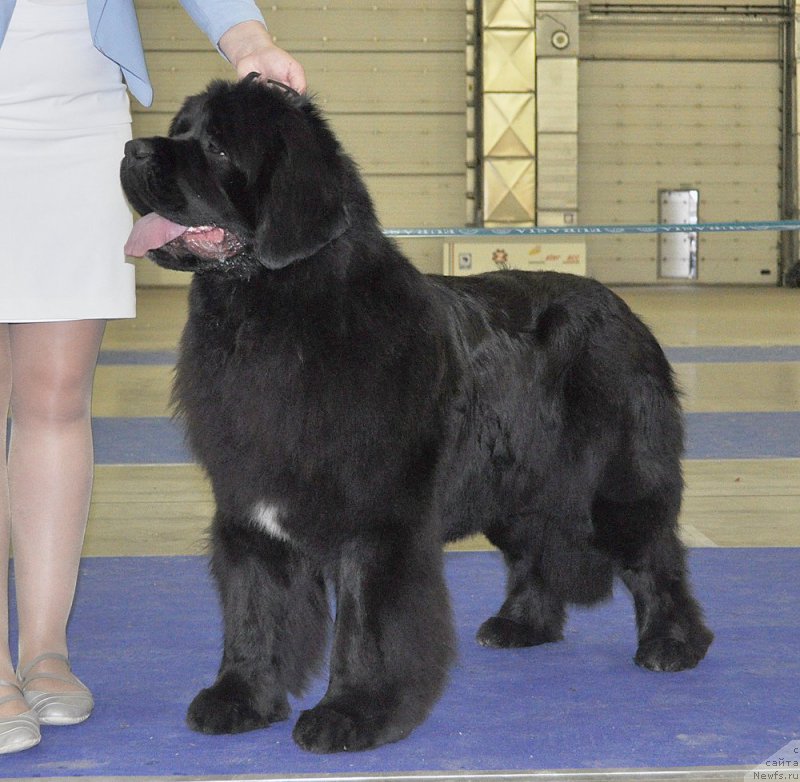 Фотография № 177862