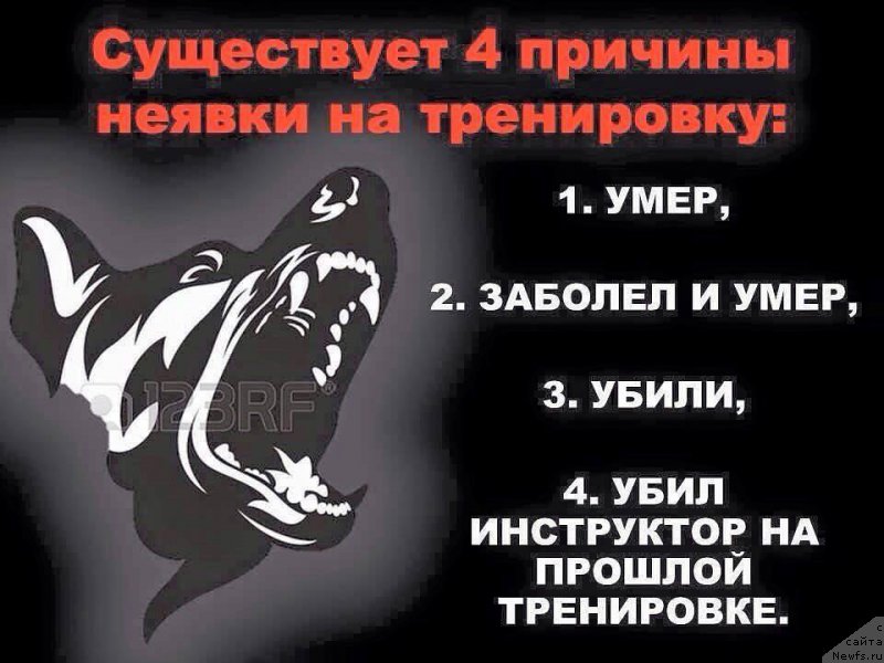 Фотография № 177867