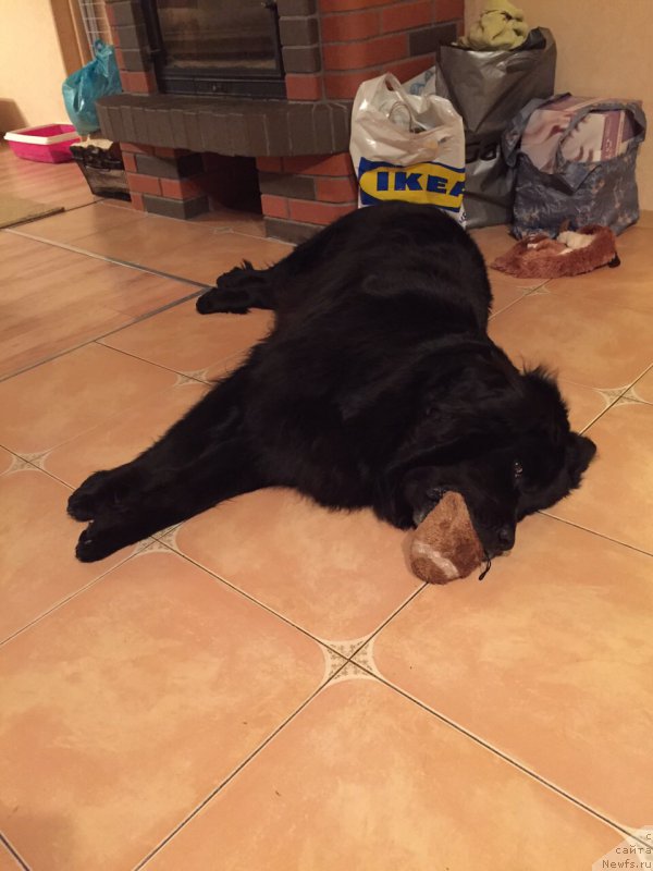 Фотография № 177884