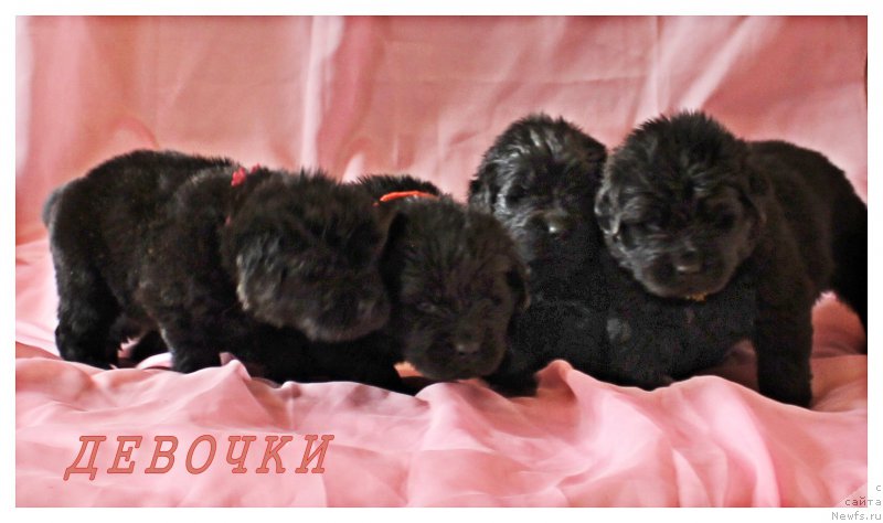 Фотография № 177896