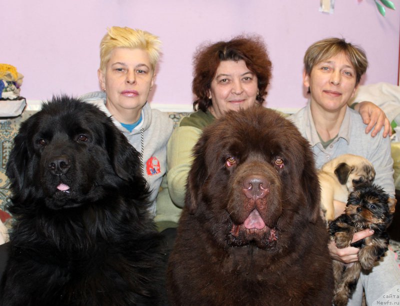 Фотография № 177912