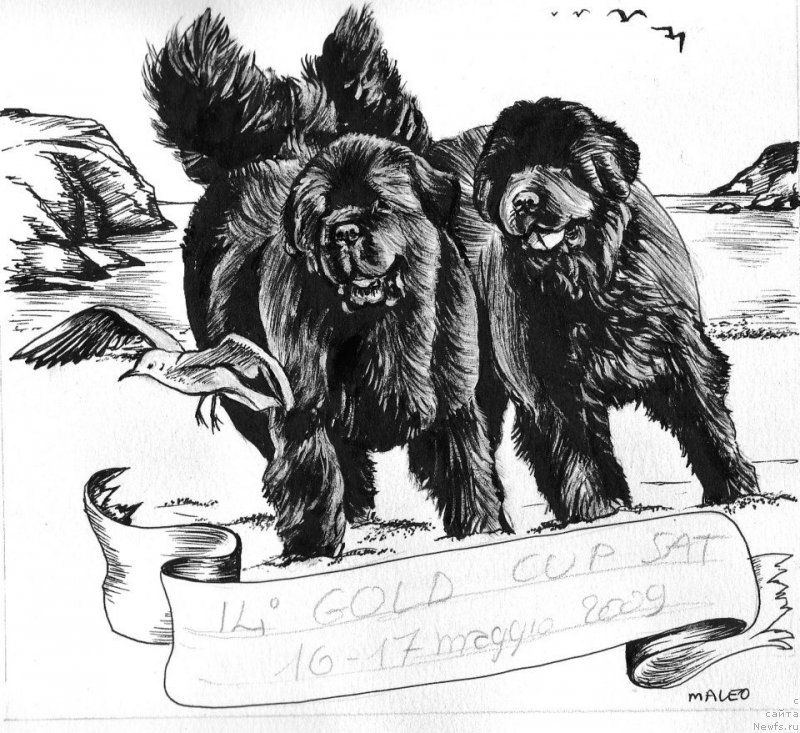 Фотография № 177953