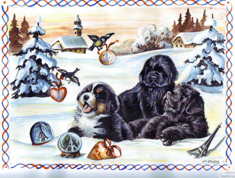 Фотография № 177954