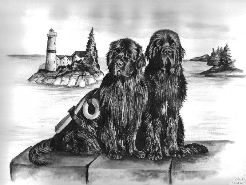 Фотография № 177958