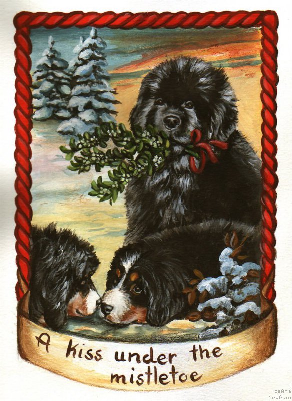 Фотография № 177959